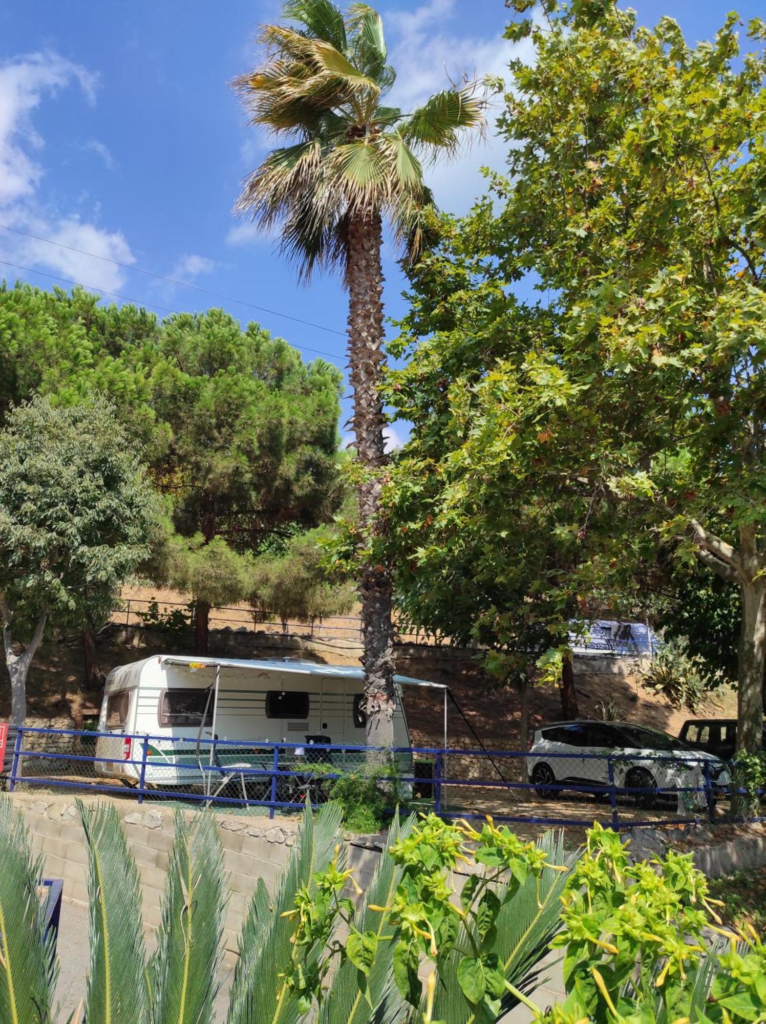Camping Roca Grossa Calella Eksteriør billede