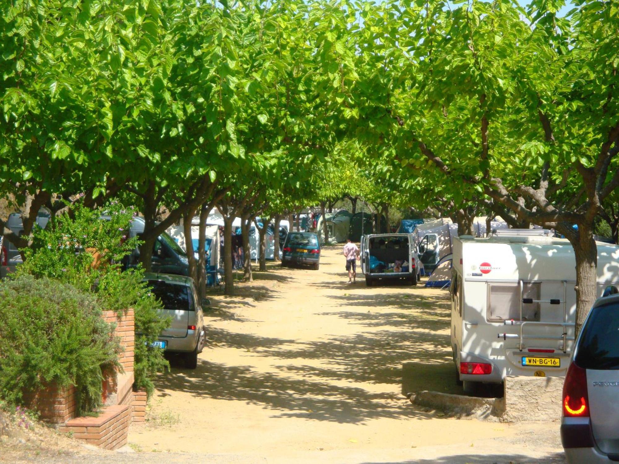 Camping Roca Grossa Calella Eksteriør billede
