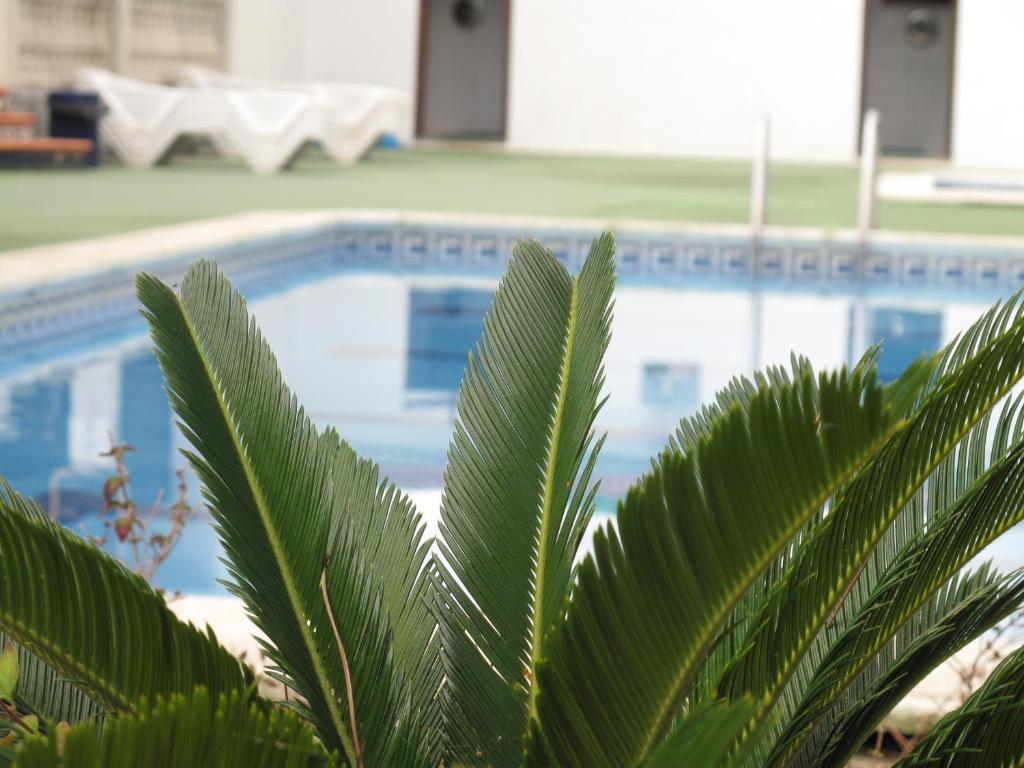 Camping Roca Grossa Calella Eksteriør billede