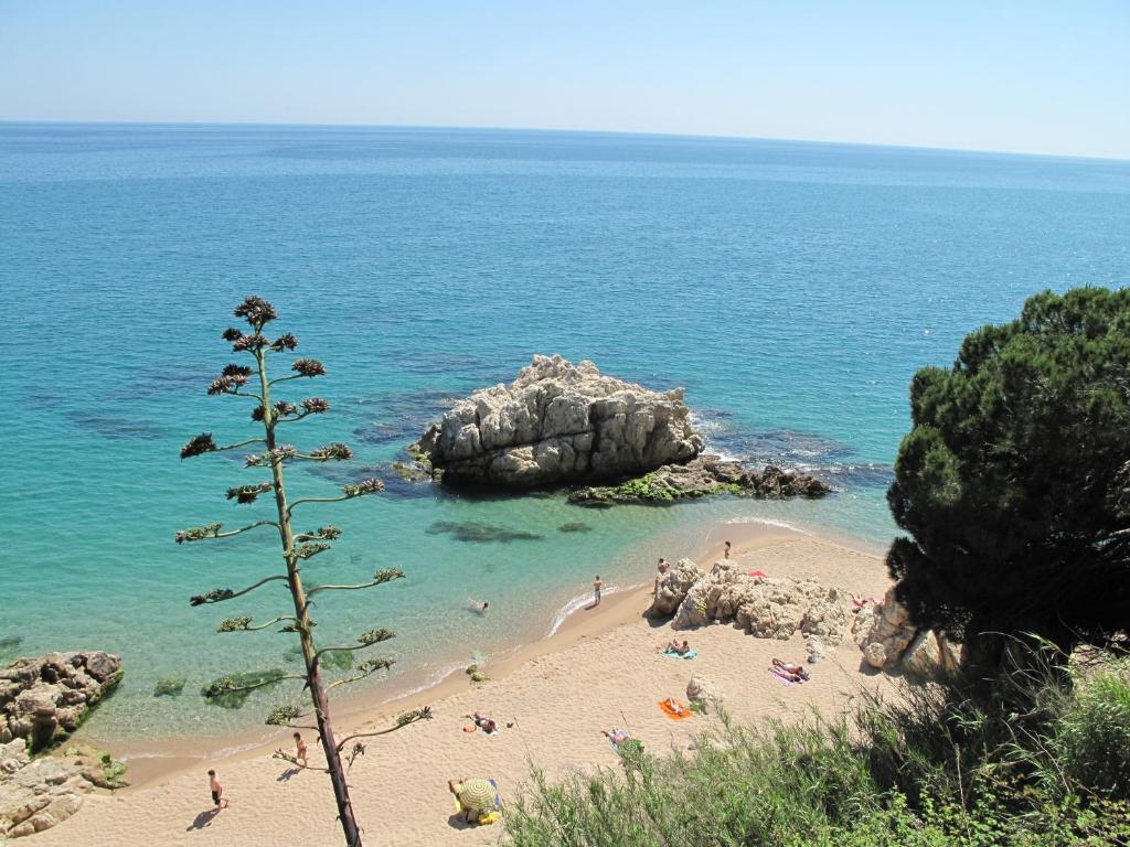 Camping Roca Grossa Calella Eksteriør billede
